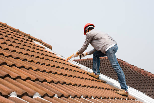 Best Solar Panel Roofing Installation  in San Ysidro, NM